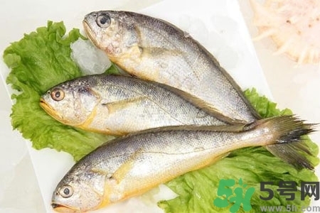 秋季適合吃什么魚？秋季吃魚的好處？