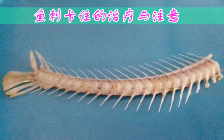 魚(yú)刺