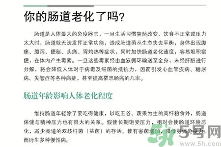 引起腸道老化的原因是什么？四種人腸道老化快