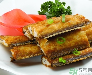 帶魚是發(fā)物嗎？手術(shù)后可以吃帶魚嗎？