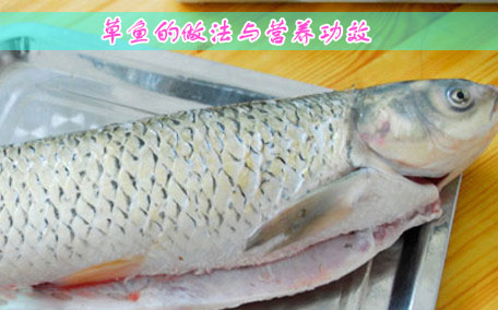 草魚(yú)