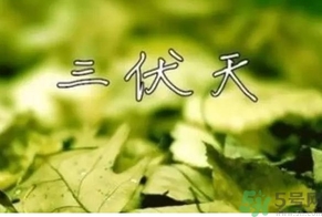 三伏天可以理發(fā)嗎？三伏天為什么不能理發(fā)？