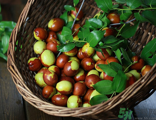 新鮮紅棗補(bǔ)血嗎？吃新鮮紅棗補(bǔ)血嗎？