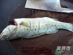 鱸魚蒸多長時間？鱸魚怎么蒸？