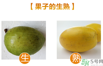 蛋黃果多少錢一斤？蛋黃果什么時候成熟？
