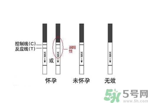 怎么測是否懷孕？早孕試紙怎么用？