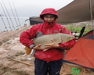 十月份可以釣魚(yú)嗎？十月份釣魚(yú)用什么餌料？