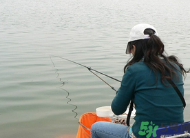 秋天釣鯉魚用什么味型？秋季釣鯉魚餌料味型