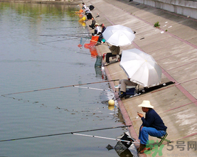 水庫(kù)釣魚(yú)用什么餌料？水庫(kù)釣魚(yú)用什么商品餌？