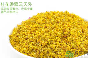 剛摘的桂花有蟲怎么辦？干桂花長蟲怎么辦？