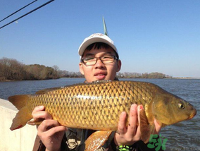 夜釣鯉魚用什么餌料？秋天夜釣鯉魚用什么餌料？