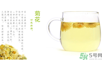 菊花茶可以放冰箱嗎？菊花茶能放冰箱冷凍嗎？