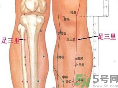 艾灸足三里有什么好處？艾灸足三里的功效