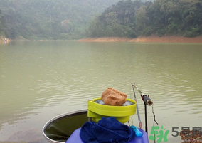 秋天釣魚(yú)用什么打窩？秋天釣鯉魚(yú)用什么打窩？