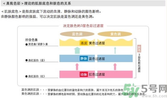 covermark中草藥粉底色號(hào)試色 covermark中草藥粉底專(zhuān)柜價(jià)格