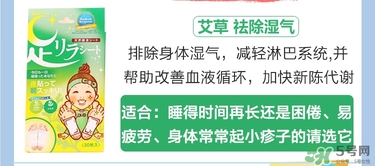 樹之惠足貼5款區(qū)別？樹之惠足貼哪款好用？