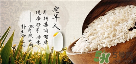 胚芽米的營養(yǎng)價(jià)值 胚芽米的功效與作用 胚芽米的營養(yǎng)價(jià)值 胚芽米的功效與作用