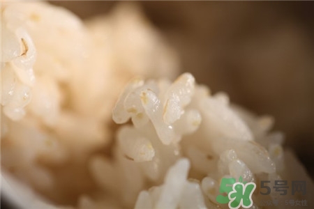 胚芽米的營養(yǎng)價(jià)值 胚芽米的功效與作用 胚芽米的營養(yǎng)價(jià)值 胚芽米的功效與作用