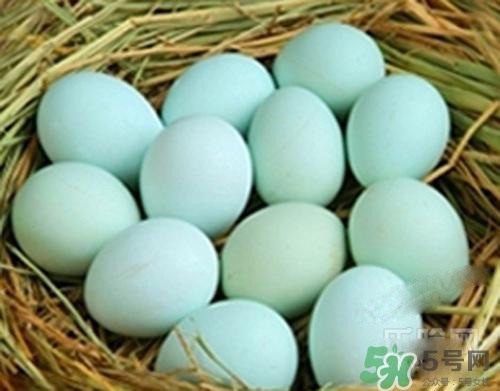 綠皮雞蛋是怎么回事？綠皮雞蛋的營養(yǎng)價值