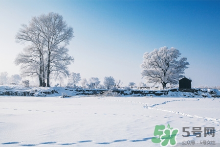 下雪高鐵會停運嗎？下雪天會影響高鐵嗎？