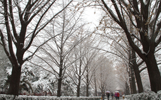 降雪的必要條件 降雪量的等級標準