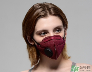 pm2.5口罩多少錢？pm2.5口罩價(jià)格