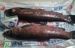 新鮮魚(yú)怎么腌制咸魚(yú)塊？咸魚(yú)塊怎么腌制