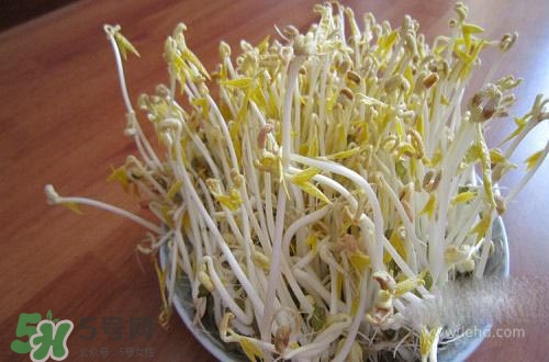 豆芽糖尿病可以吃嗎？糖尿病吃豆芽有什么好處？