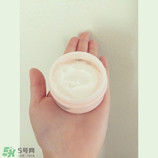 the body shop維e晚霜怎么用？美體小鋪維e晚霜使用方法