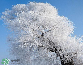 2017年第一場雪什么時候？2017年什么時候下雪？