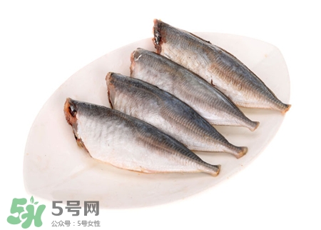 沙丁魚(yú)的營(yíng)養(yǎng)價(jià)值 沙丁魚(yú)的功效與作用