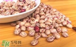 腎豆是什么豆?腎豆的功效與作用