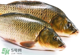 吃鯽魚可以暖胃嗎?鯽魚怎么吃最暖胃?