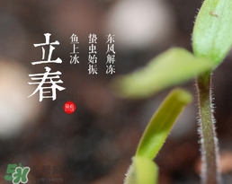 立春吃什么蔬菜？立春時令蔬菜推薦