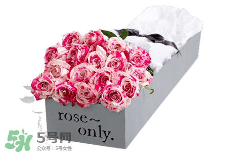 roseonly是什么花？roseonly是真花還是假花？