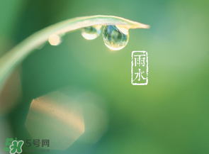 雨水吃什么？雨水節(jié)氣飲食禁忌？