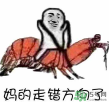 說人皮皮蝦是什么意思？女生叫男生皮皮蝦什么意思？