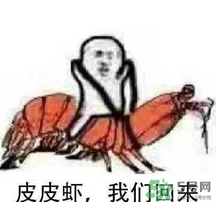 說人皮皮蝦是什么意思？女生叫男生皮皮蝦什么意思？