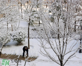 春天下雪意味著什么？春天為什么會下雪？