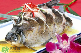 魚(yú)有禽流感嗎？吃魚(yú)會(huì)得禽流感嗎？