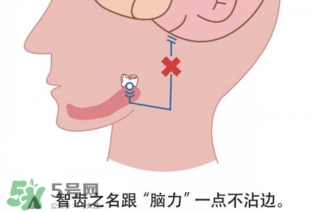 智齒會引起耳鳴嗎？耳鳴跟智齒有關(guān)系嗎？