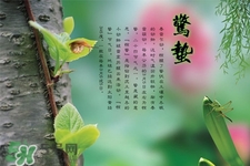 驚蟄吃什么蔬菜好？驚蟄節(jié)氣養(yǎng)生吃什么蔬菜？