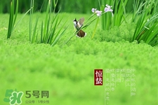 驚蟄吃什么蔬菜好？驚蟄節(jié)氣養(yǎng)生吃什么蔬菜？