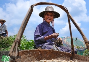 長壽的人有什么特征 長壽人的共同特征