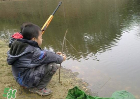 驚蟄能釣魚嗎？驚蟄釣什么魚好？