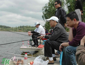 驚蟄過后好釣魚嗎？驚蟄后陰雨天好釣魚嗎？