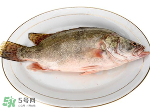 三月份吃什么魚？3月份吃什么魚好？