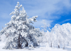 三月份還會(huì)下雪嗎？哈爾濱三月份還有雪嗎？