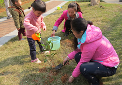 植樹(shù)節(jié)一般種什么樹(shù)？植樹(shù)節(jié)種什么樹(shù)比較好？