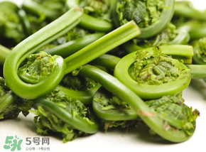 蕨菜怎么洗？蕨菜怎么清洗才干凈？